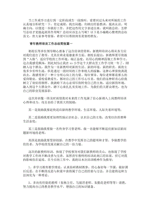 青年教師培訓(xùn)工作總結(jié)簡短(匯總十二篇)-免費(fèi)閱讀